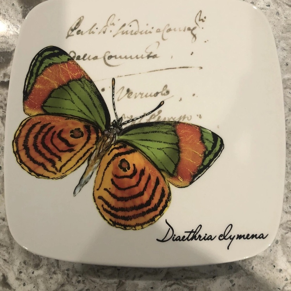 Butterfly Design Square Plate - Picture 3 of 5